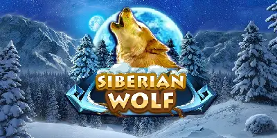 Siberian Wolf: Descubre la Emocionante Tragamonedas con Consejos para Ganar en Casinos de Chile
